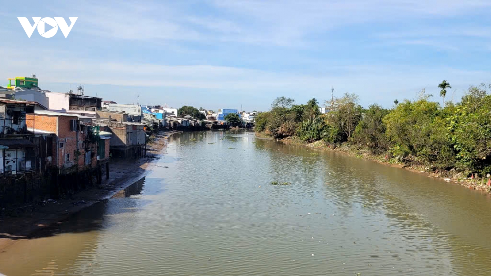 Nông dân vùng hạ lưu Đồng Tháp, Vĩnh Long khẩn trương ứng phó xâm nhập mặn